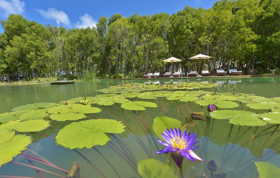 Dreamland – The Unique Sea & Lake Resort Spa