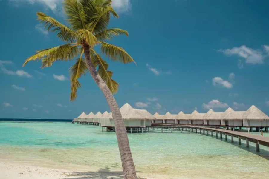 Drift Thelu Veliga Retreat