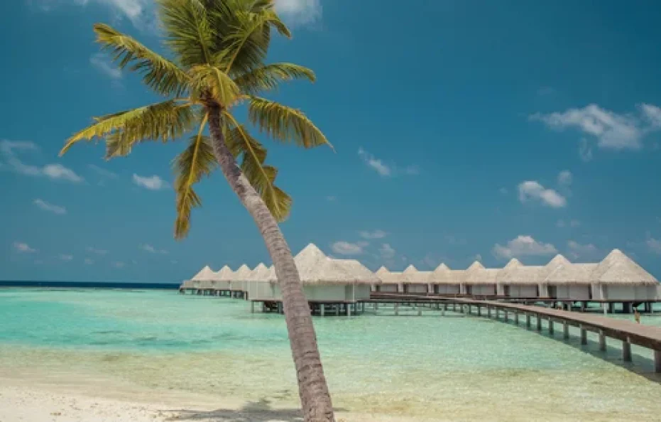 Drift Thelu Veliga Retreat