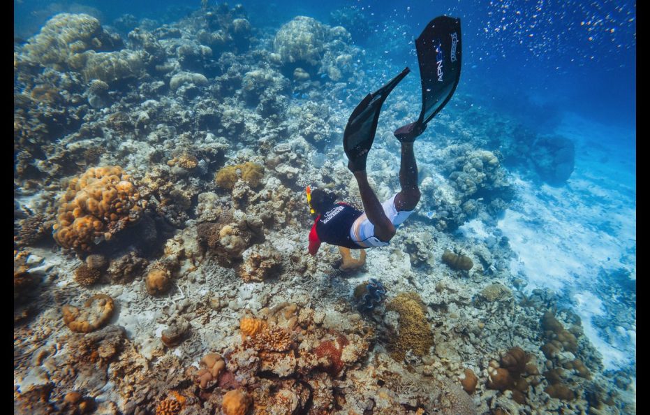 Ellaidhoo Maldives by Cinnamon