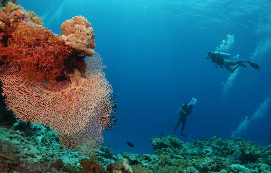 Four Seasons Private Island Maldives at Voavah