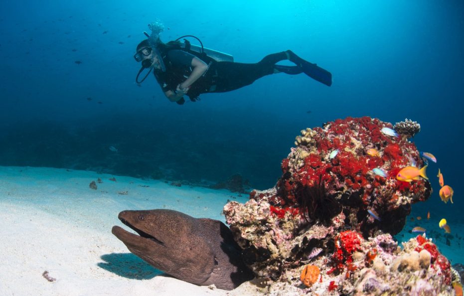 Gili Lankanfushi Maldives