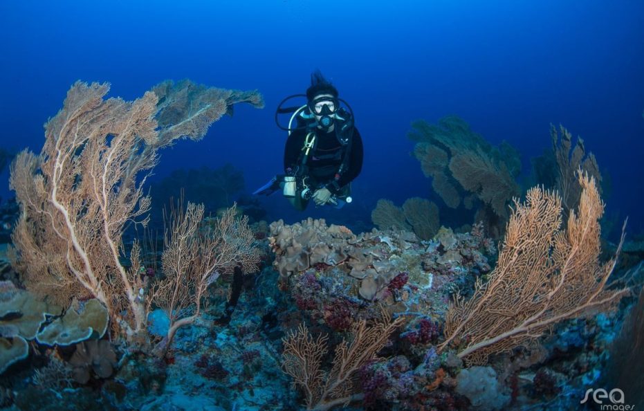 Grand Park Kodhipparu, Maldives