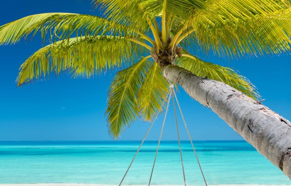 Lux* South Ari Atoll, Maldives