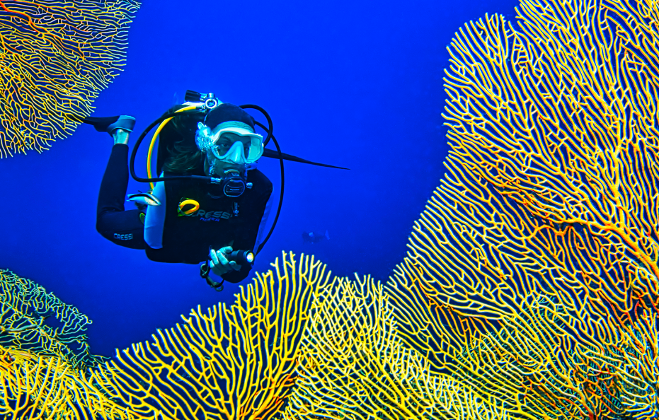 Pullman Maldives Maamutaa, All-Inclusive Resort