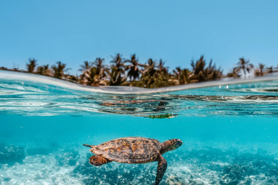 Raffles Maldives Meradhoo Resort