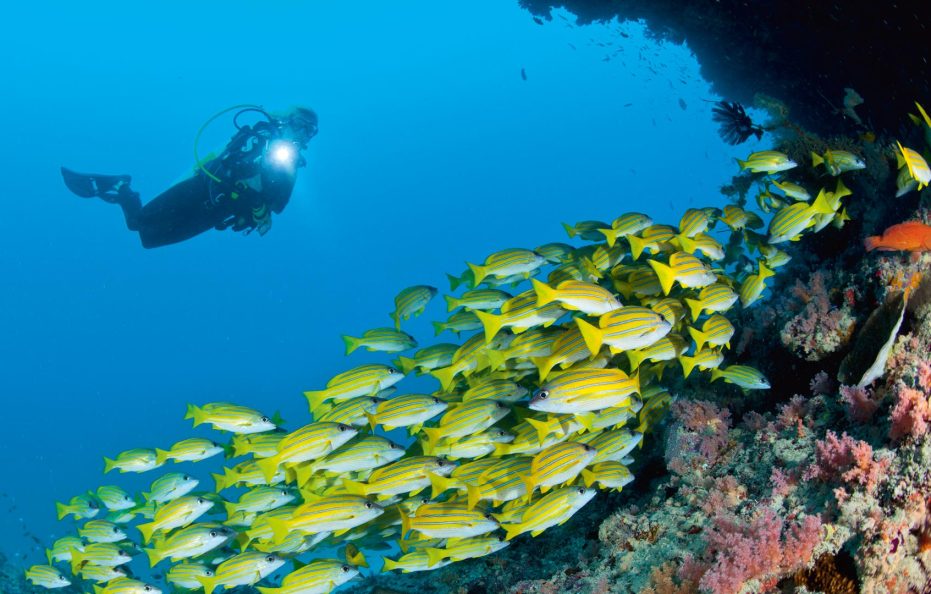 Velaa Private Island Maldives