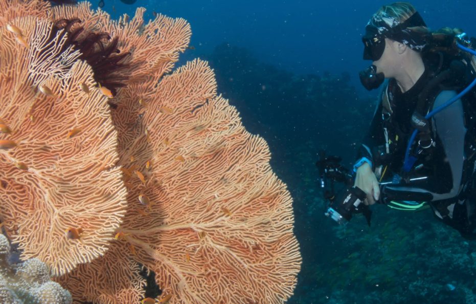 Four Seasons Resort Maldives at Kuda Huraa