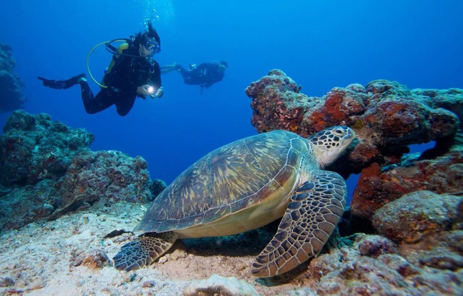 NOOE Maldives Kunaavashi