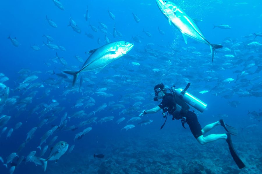 Rahaa Resort Maldives