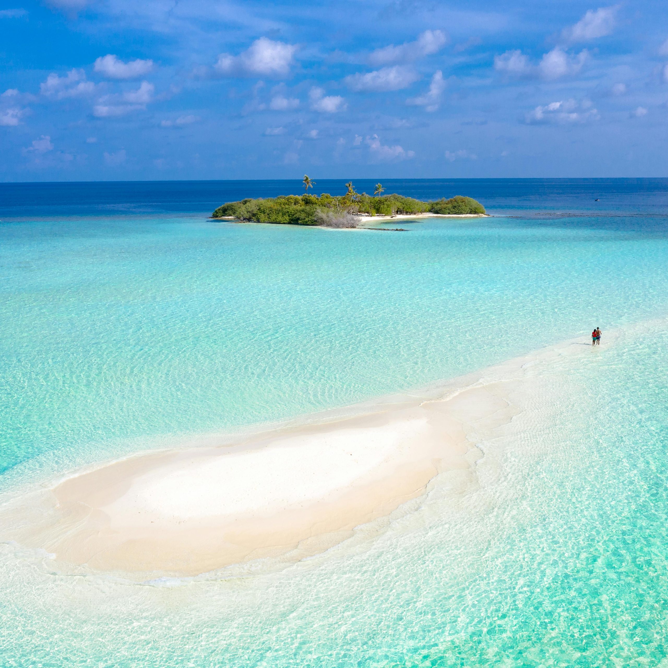 Sandbank Picnic