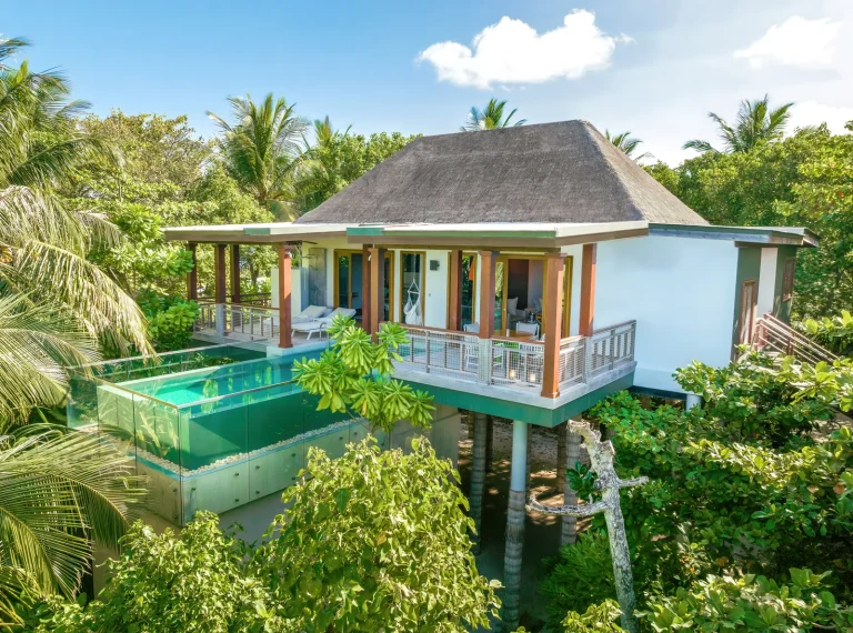 Two-Bedroom Treetop Pool Villa, Amilla Maldives Resort and Residences, Baa Atoll: treetop villa in the canopy