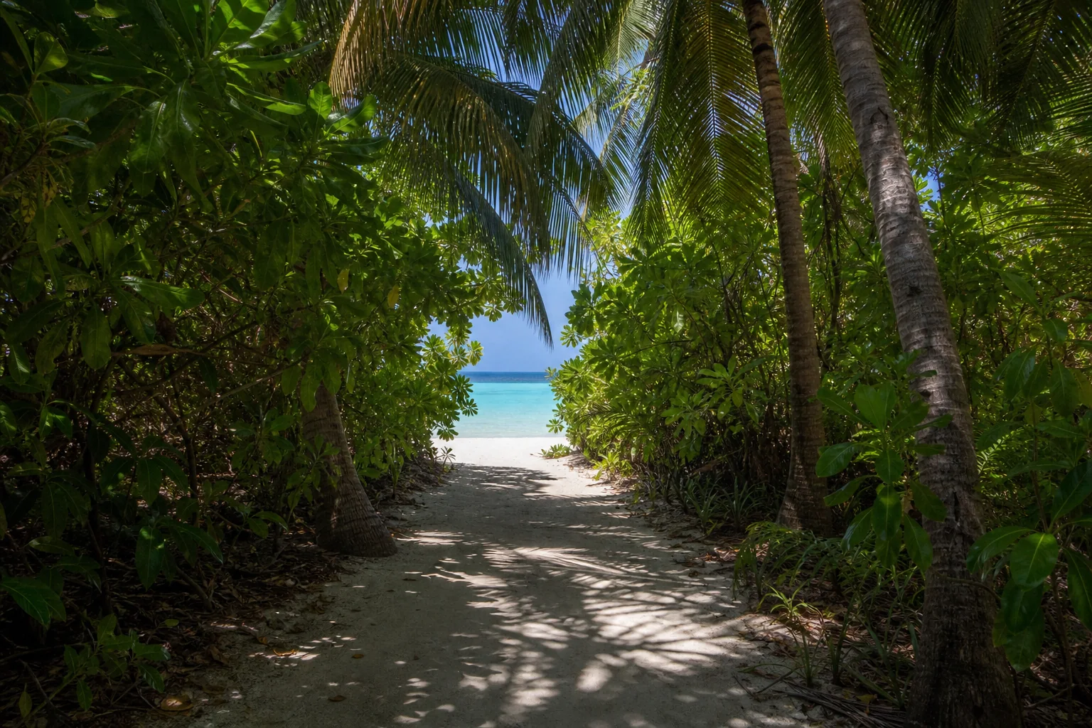 Shaded walking path leading to Fulhadhoo's tourist beach
