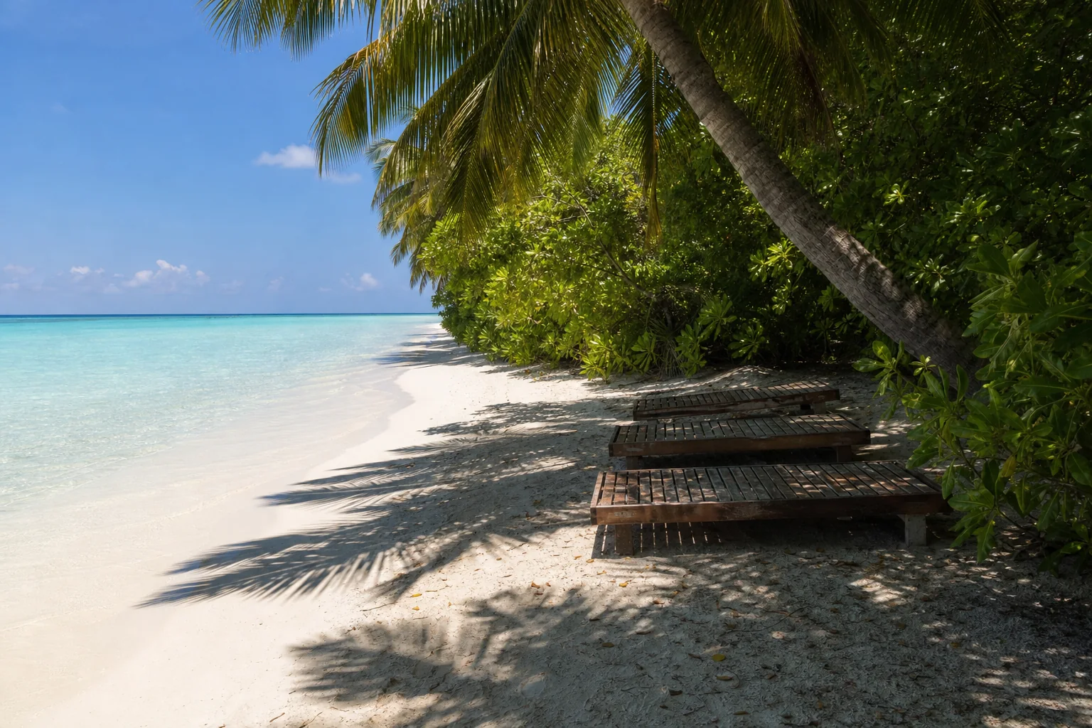 Sunbeds beside the designated beach in Fulhadhoo