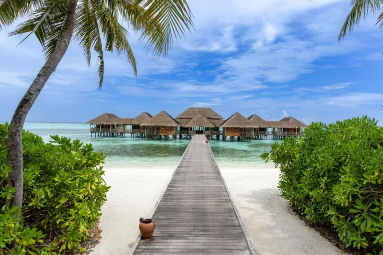 Timber jetty leading from the beach past palms to thatched overwater villas at Gili Lankanfushi