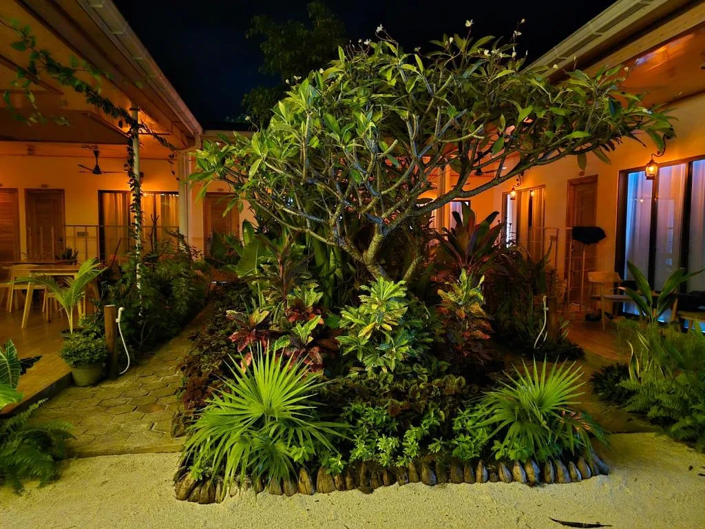 Night courtyard with tropical garden, central flowering tree, stone-bordered bed, paved path and sliding glass doors to rooms at Infinity Beach Dhigurah, Dhigurah, Maldives