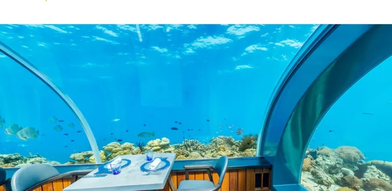 Tables inside the curved glass tunnel of the 5.8 undersea restaurant with reef fish outside, next door to Kudadoo