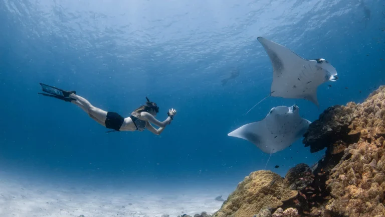 Freediver swimming alongside two manta rays over a coral reef in clear blue water near Four Seasons Resort Maldives at Landaa Giraavaru, Baa Atoll