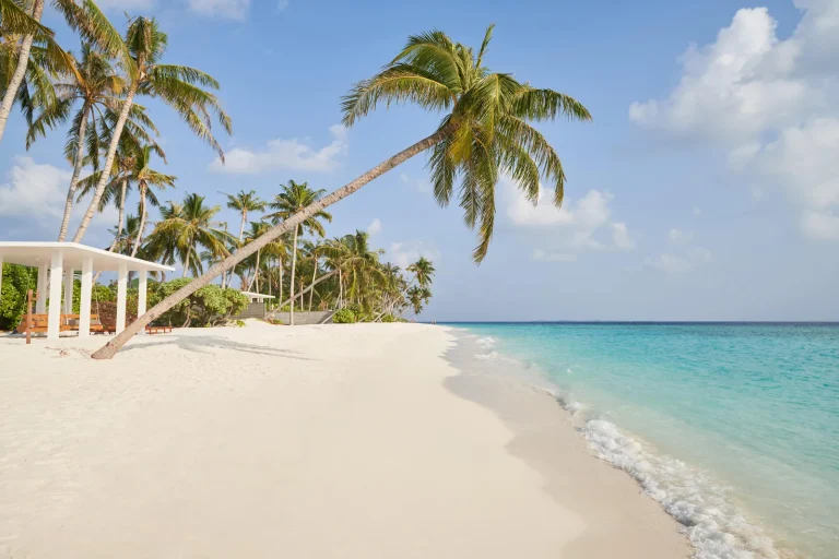 White two-storey beach residence behind a curving white beach and leaning palm at Siyam World Maldives, Noonu Atoll