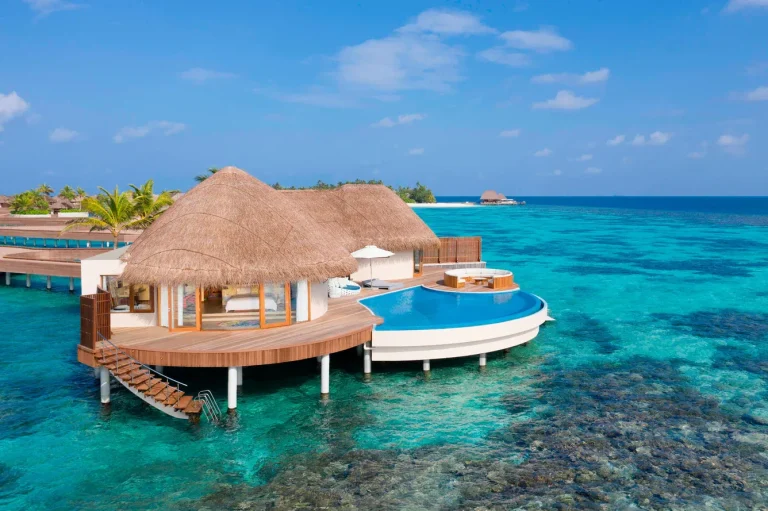 Thatched overwater villa with a round plunge pool and steps into clear reef water at W Maldives, North Ari Atoll, Maldives