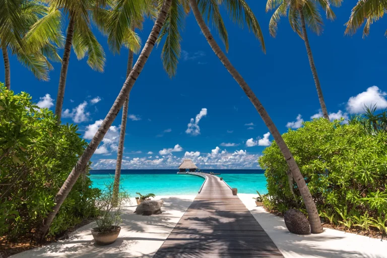 Long wooden arrival jetty at Velaa Private Island framed by leaning palm trees and white sand, with water villas on the horizon, Noonu Atoll, Maldives