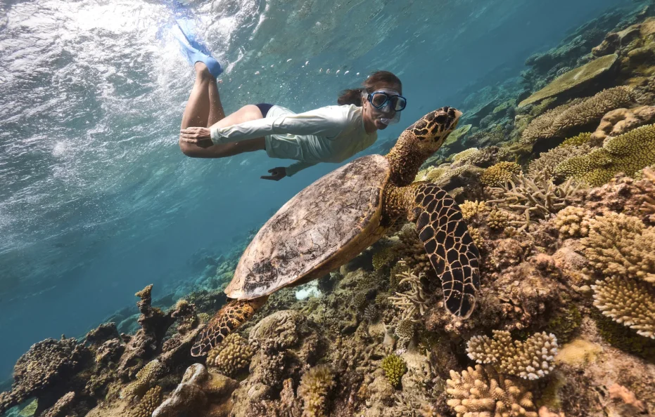 Nilaa Coral Island Maldives