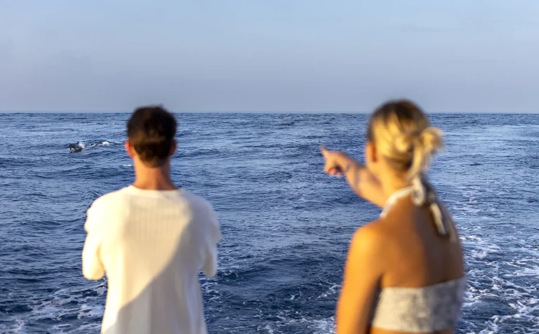 Couple on a boat deck pointing at dolphins jumping in the open ocean near Niva Dhigali Maldives