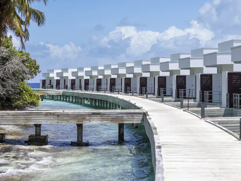 Curved timber jetty leading past a row of white overwater villas over clear shallow water, Niva Dhigali Maldives