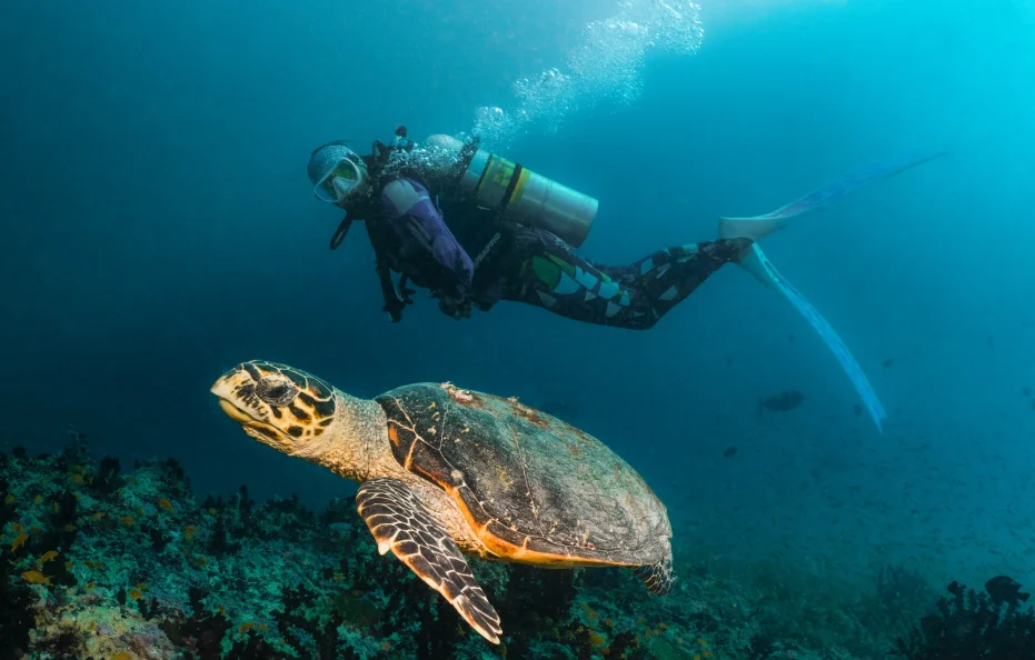 The Ritz-Carlton Maldives, Fari Islands