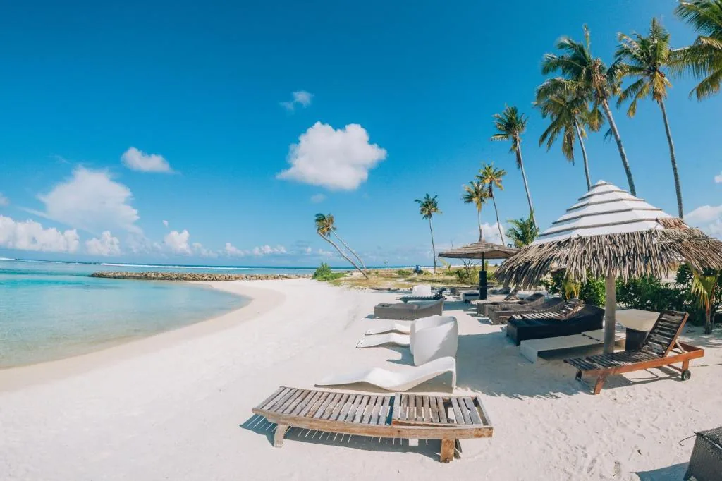 Beach with chairs and umbrellas and the ocean at The Bilimbi Guesthouse & Inn, Huraa, Maldives
