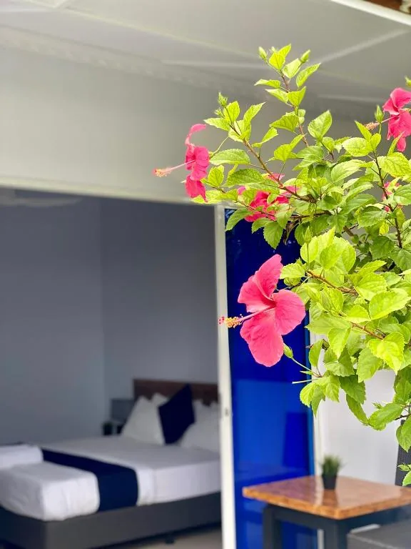 Bedroom with white linens and blue accent wall, pink hibiscus in foreground, wooden side table and potted plant at Tides Dhigurah, Dhigurah, Maldives